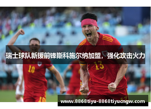 瑞士球队新援前锋斯科施尔纳加盟，强化攻击火力
