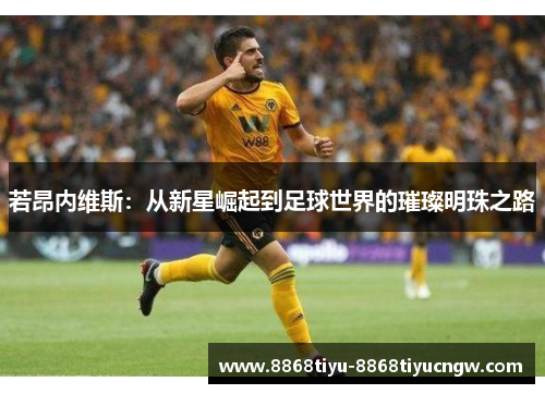 若昂内维斯：从新星崛起到足球世界的璀璨明珠之路